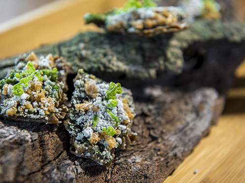 , haute cuisines, contemporary, modern cuisines, best restaurant in taichung, farm to table restaurant, tasting menu, Taiwanese ingredients, Taiwanese specialty restaurant, restaurant with good atmosphere