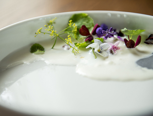 fermentation, juice pairing