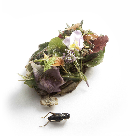 Feuille food lab,台灣新歐式料理,台中預約餐廳,米其林料理