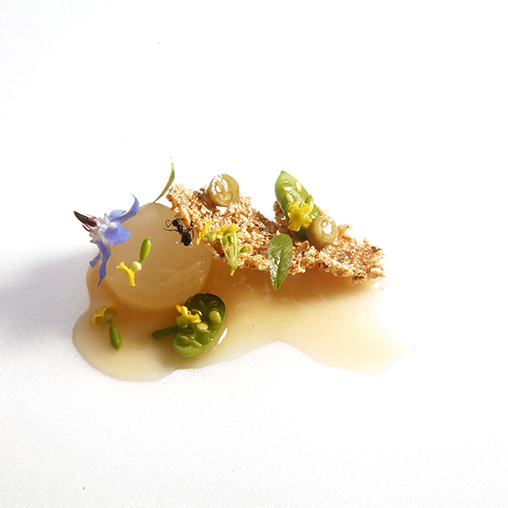 Feuille food lab,台灣新歐式料理,台中預約餐廳,新派料理