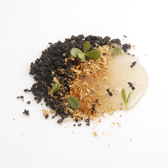 Feuille food lab,台灣新歐式料理,台中預約餐廳,新派料理