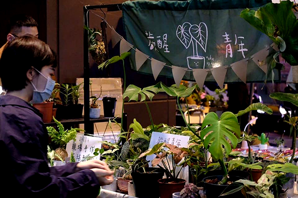 布旗掛布/三角旗