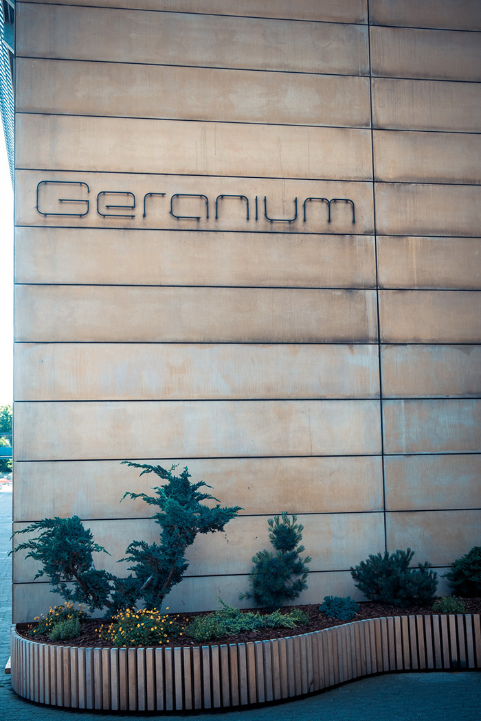 丹麥Denmark - Copenhagen，Geranium