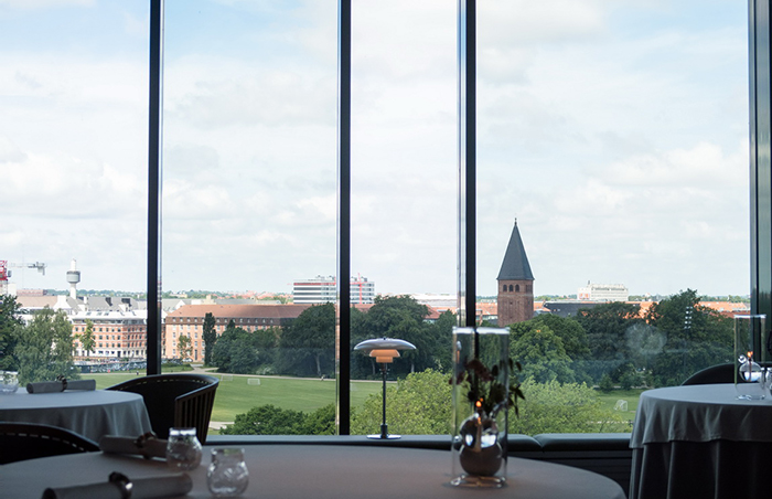丹麥Denmark - Copenhagen，Geranium
