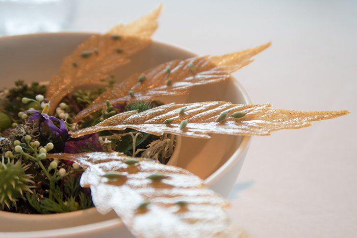 丹麥Denmark - Copenhagen，Geranium