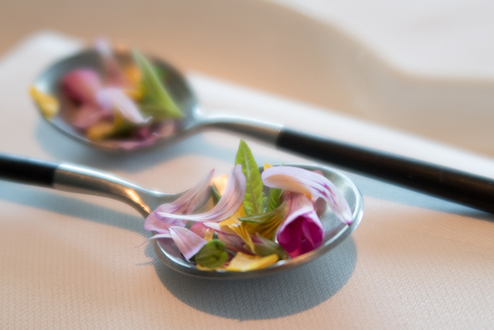 丹麥Denmark - Copenhagen，Geranium