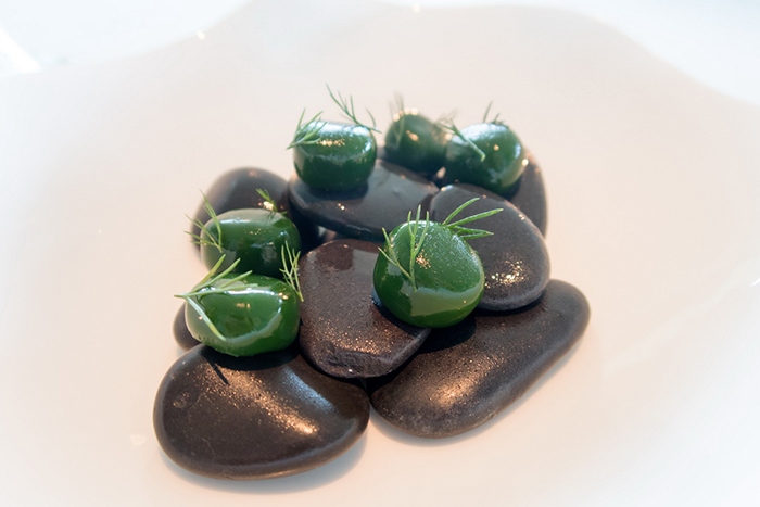 丹麥Denmark - Copenhagen，Geranium