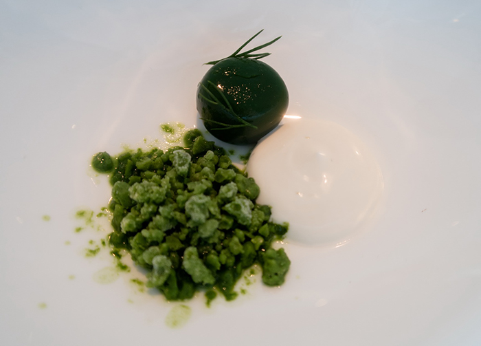 丹麥Denmark - Copenhagen，Geranium
