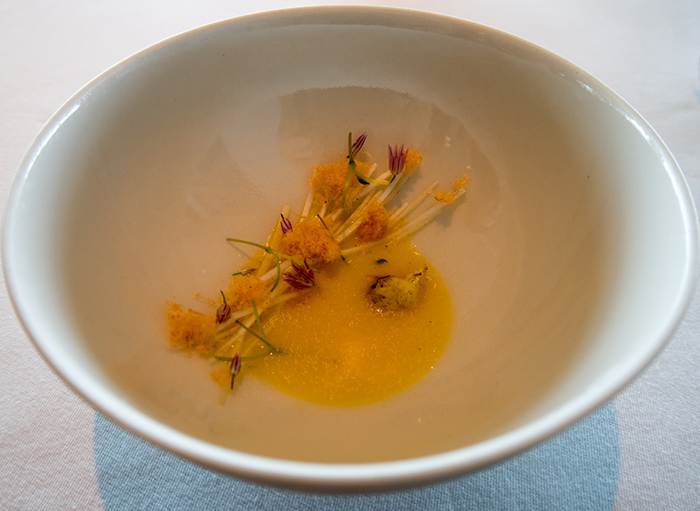 丹麥Denmark - Copenhagen，Geranium