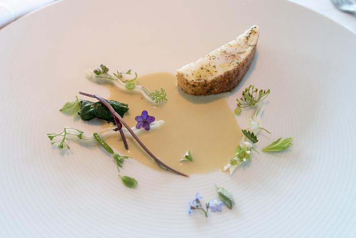 丹麥Denmark - Copenhagen，Geranium