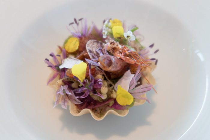 丹麥Denmark - Copenhagen，Geranium