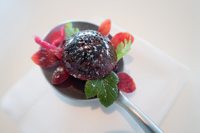 丹麥Denmark - Copenhagen，Geranium