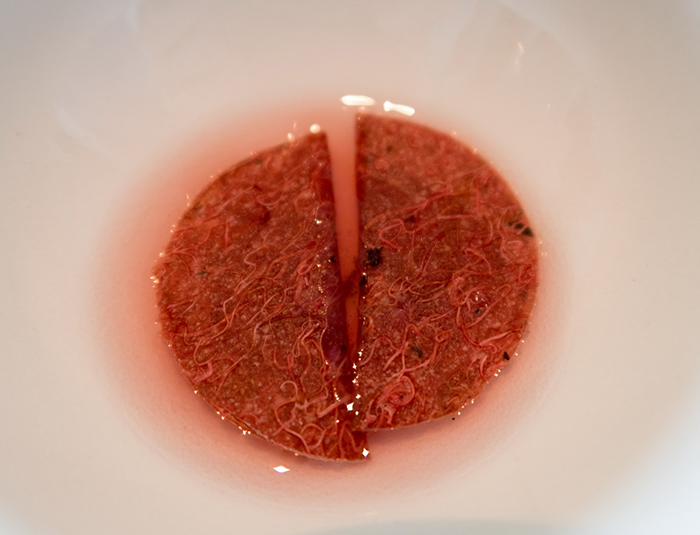 丹麥Denmark - Copenhagen，Geranium