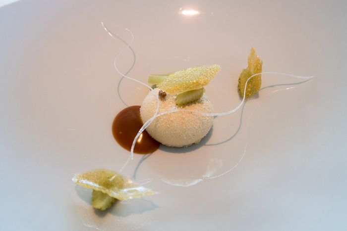 丹麥Denmark - Copenhagen，Geranium
