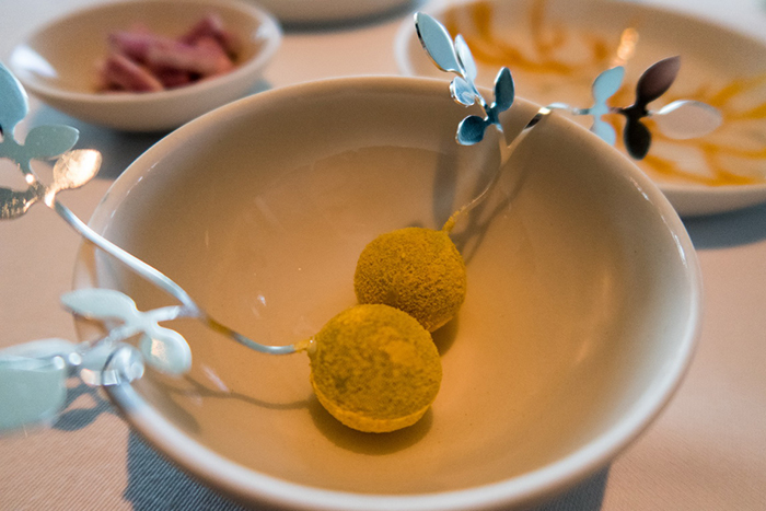 丹麥Denmark - Copenhagen，Geranium