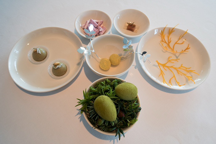 丹麥Denmark - Copenhagen，Geranium