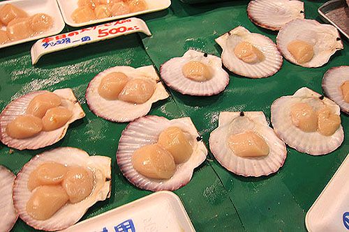 青森自由行