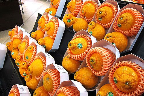 青森自由行