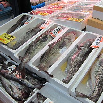 日本青森自由行