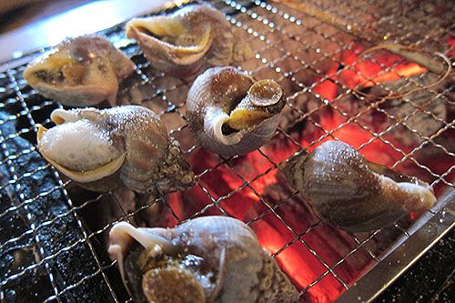 日本青森自由行