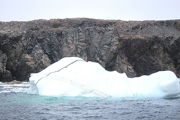  St. John's