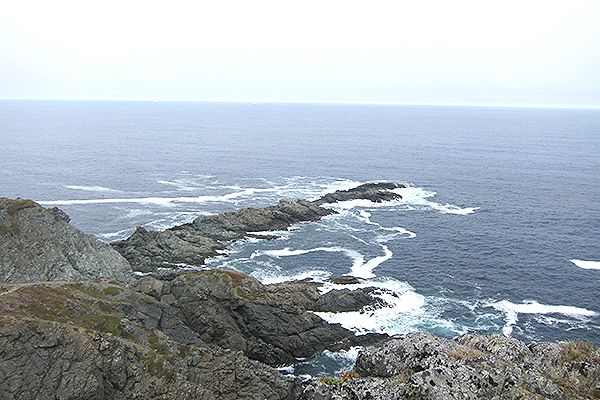  St. John's