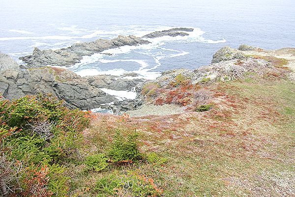  St. John's