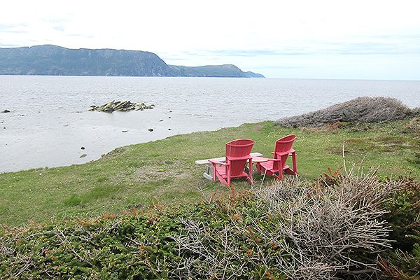 St. John's