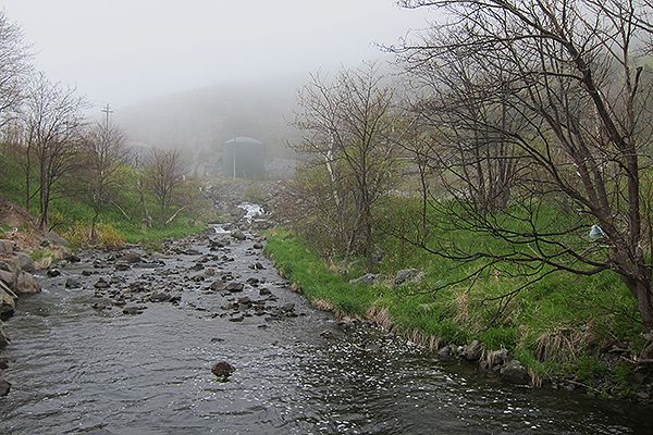  St. John's