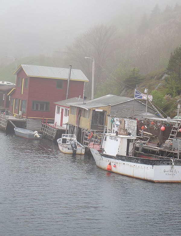  St. John's