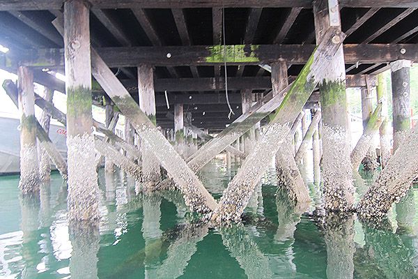 Vancouver
