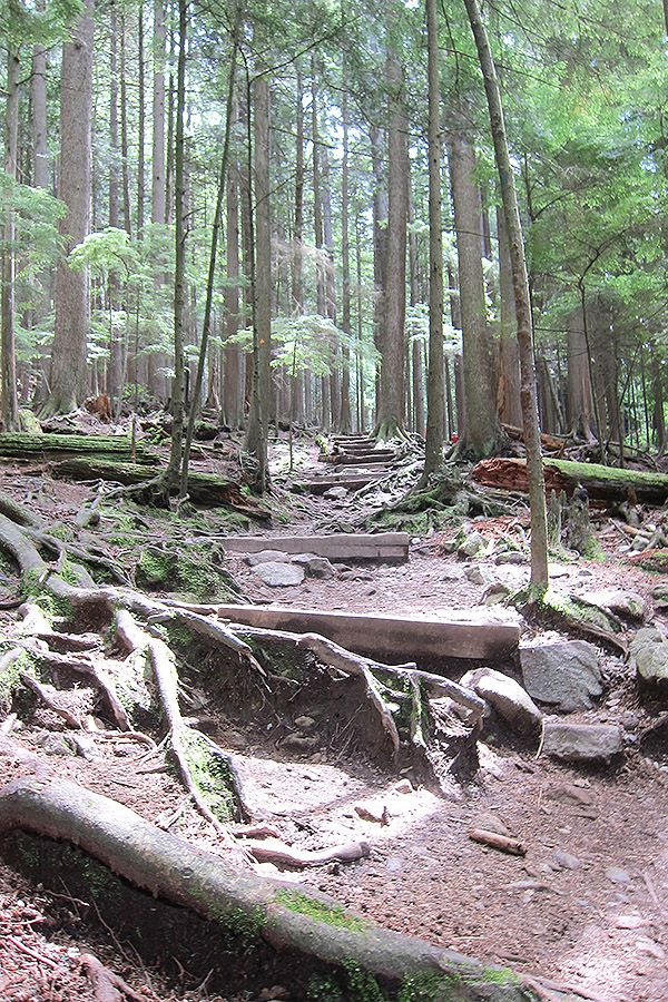 Vancouver松雞山 Grouse Mountain